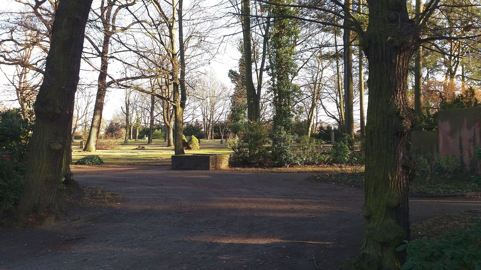 Baumbestandener Weg auf dem Zentralfriedhof Friedrichsfelde